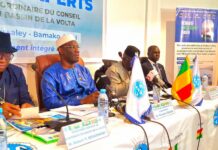 Vers un nouvel élan pour l’Autorité du Bassin de la Volta : Le Mali abrite les travaux préparatoires de la 8e session ordinaire du Conseil des ministres